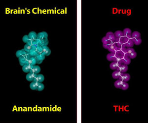 Catalysis Could Aid Drug Development: UWM Researchers Catalysis Could Aid Drug Development: UWM Researchers